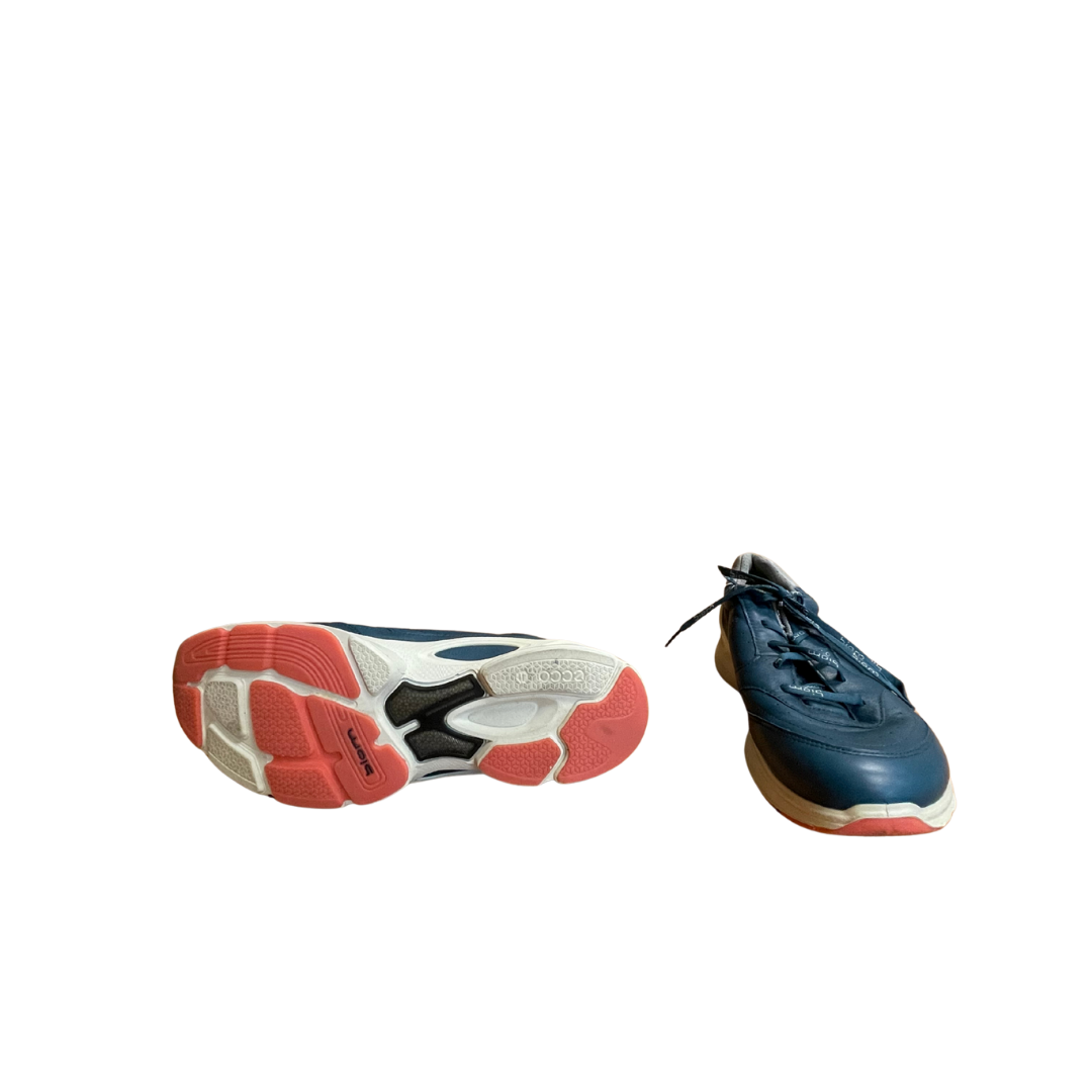 Ecco Biom