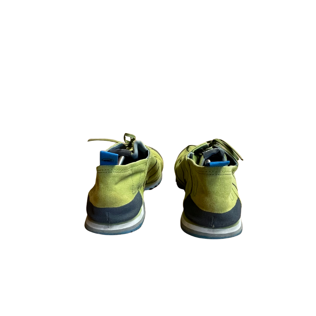 Mammut