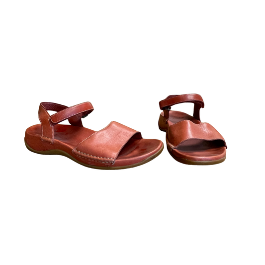 Clarks
