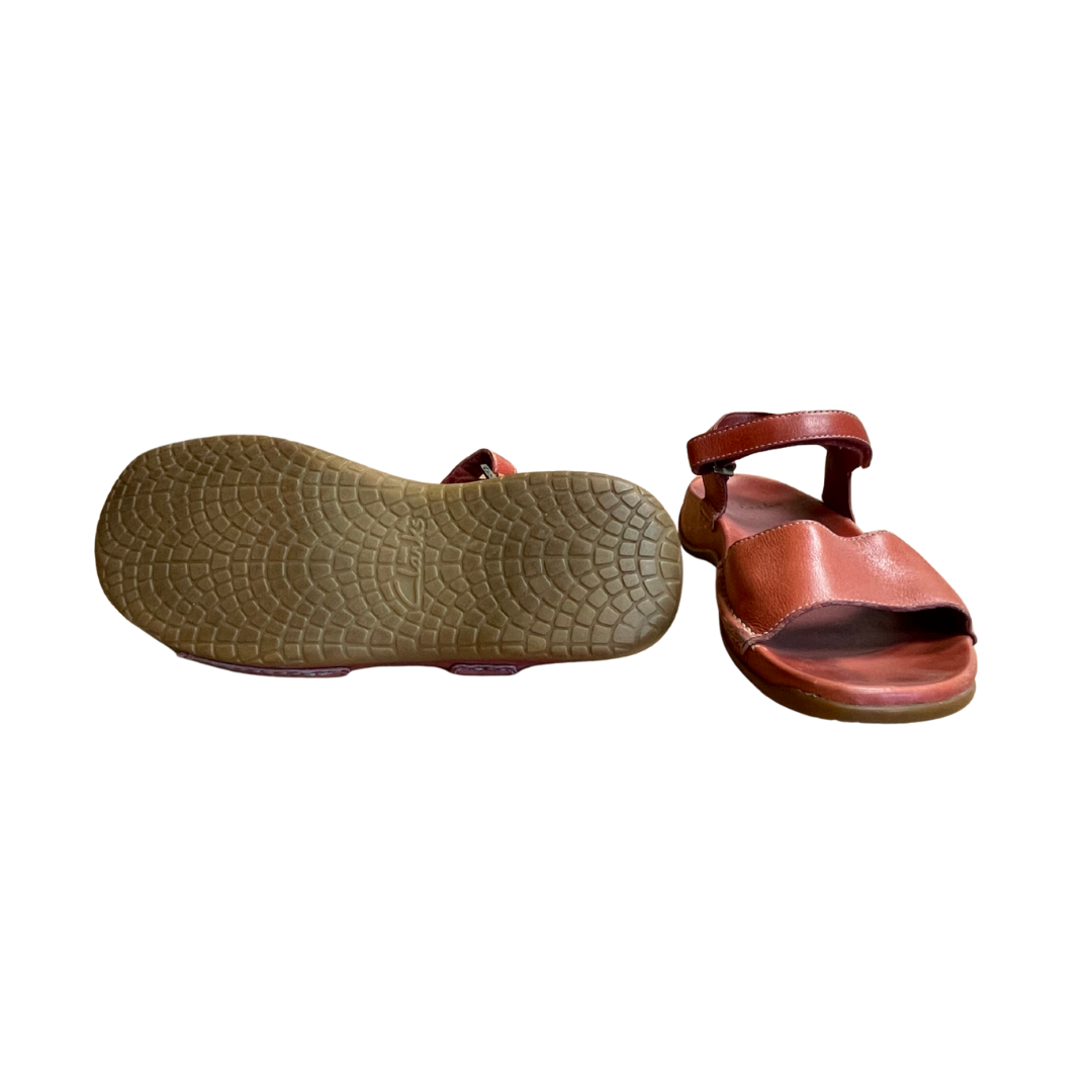 Clarks