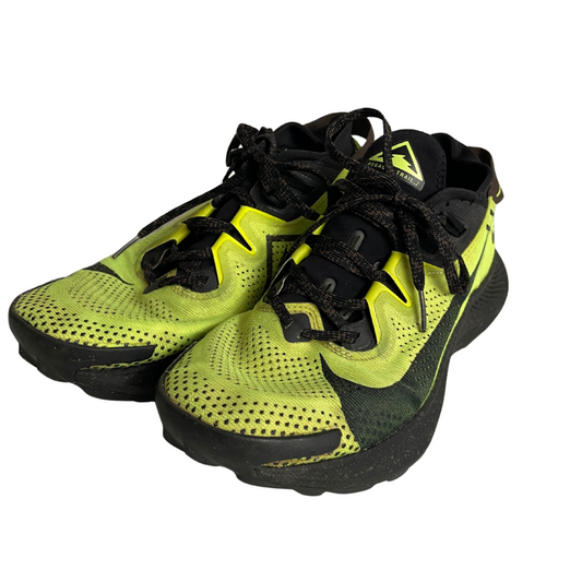 Pegasus Nike Trail