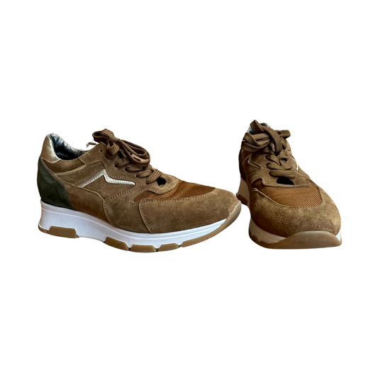 hp Shoe Style