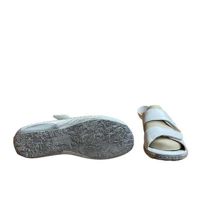 waldläufer pro aktiv