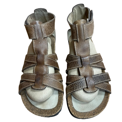 camel activ