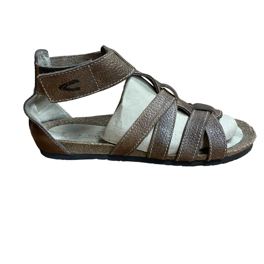 camel activ