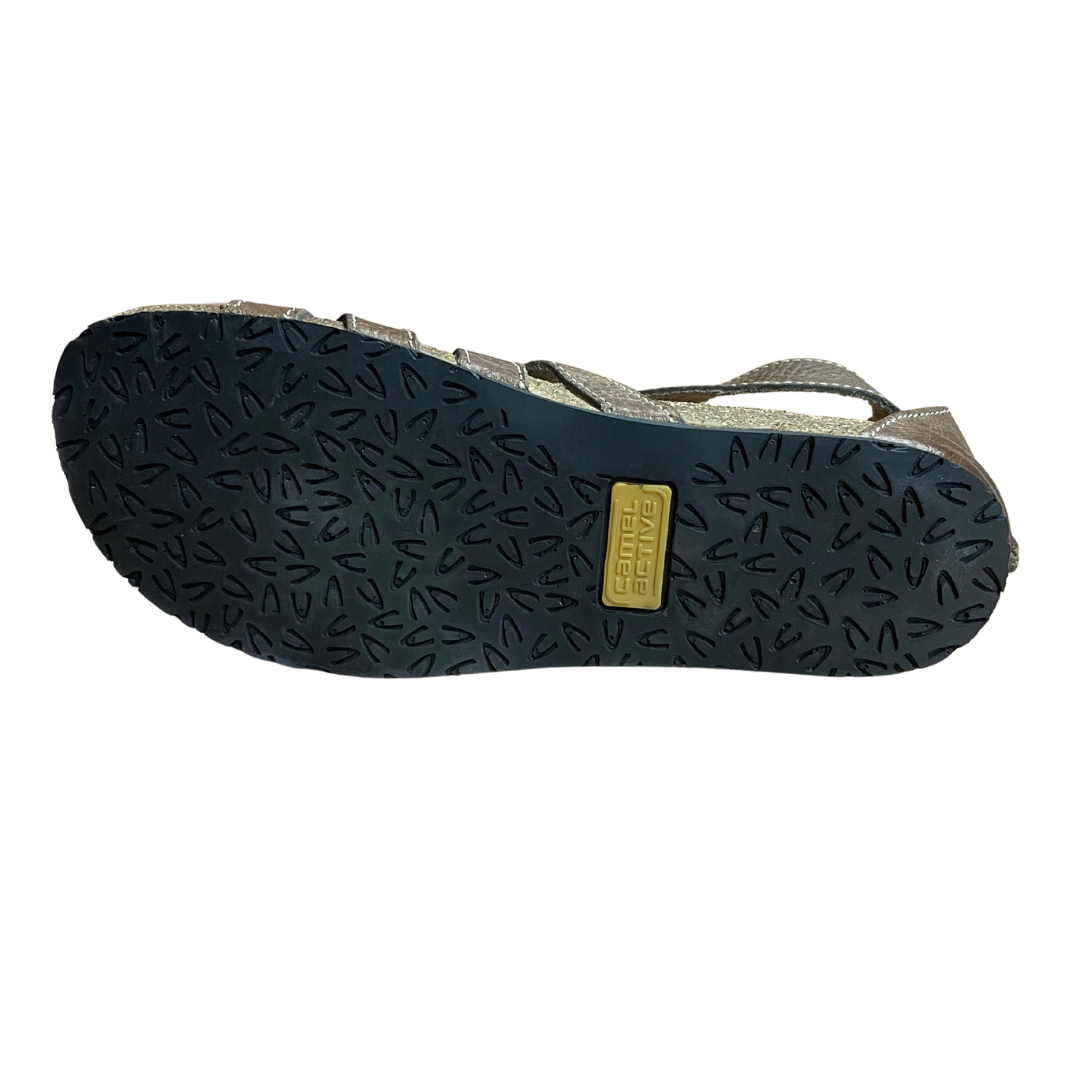 camel activ